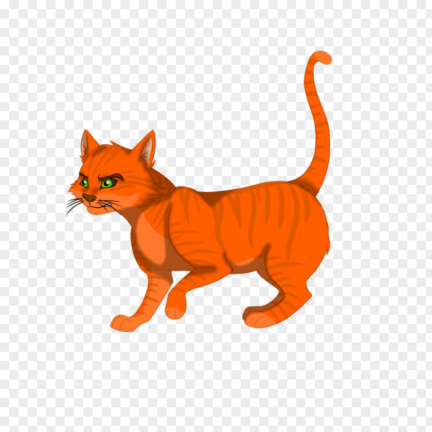 Kitten Whiskers Red Fox Cat PNG