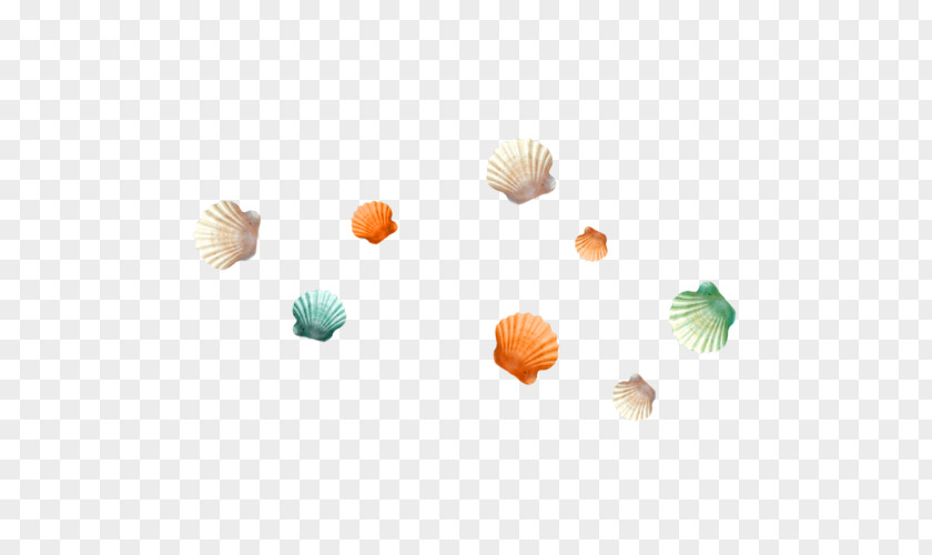 Shell Material Seashell Beach Clip Art PNG