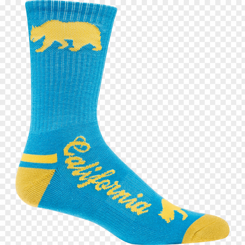 Socks Product SOCK'M Turquoise PNG
