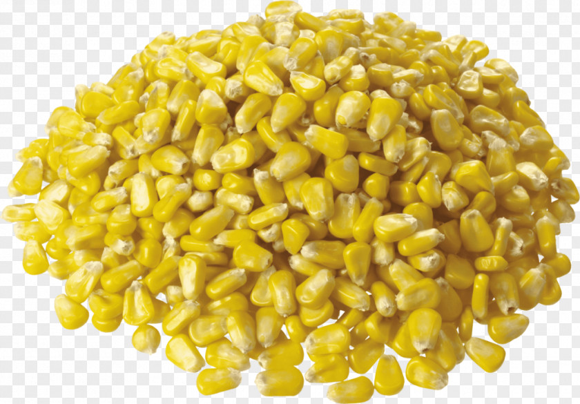Corn On The Cob Maize Kernel Sweet PNG