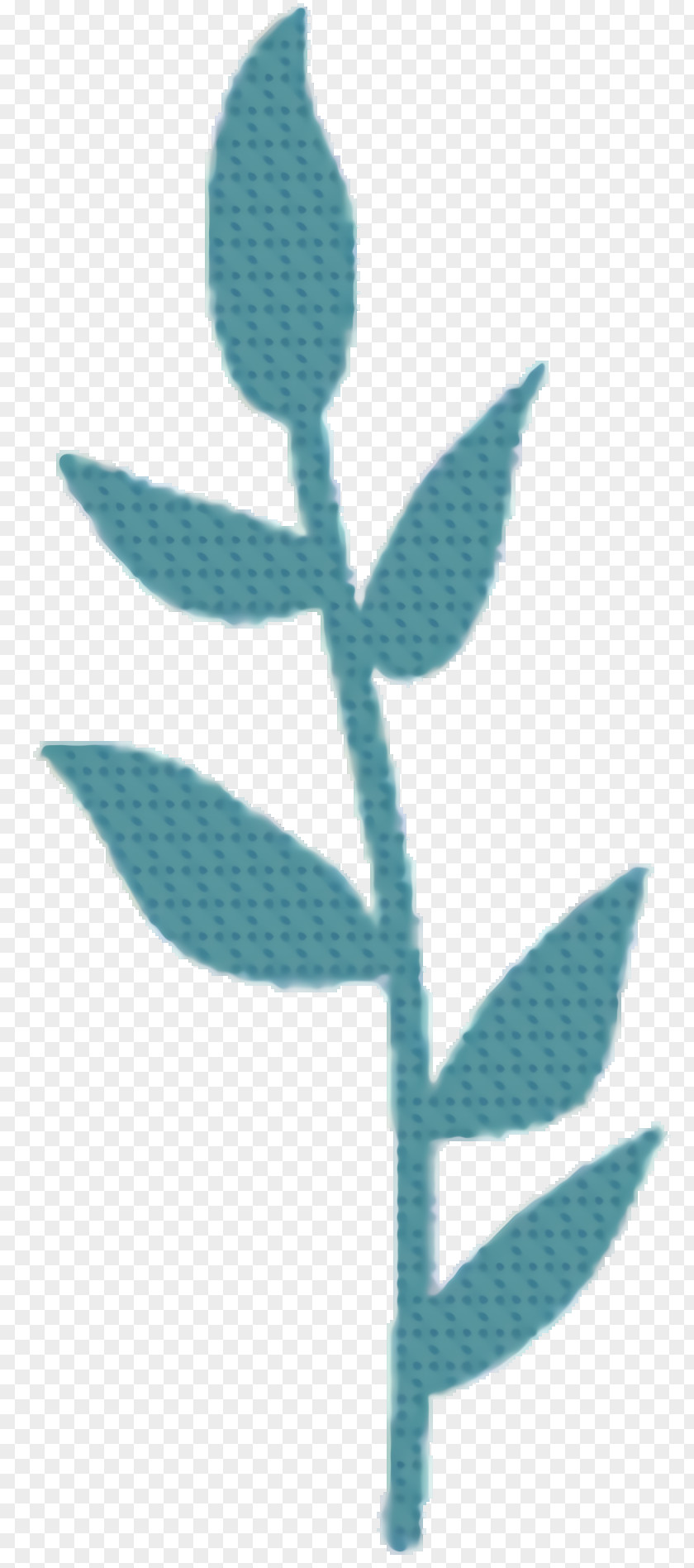 Pedicel Flower Leaf Line PNG