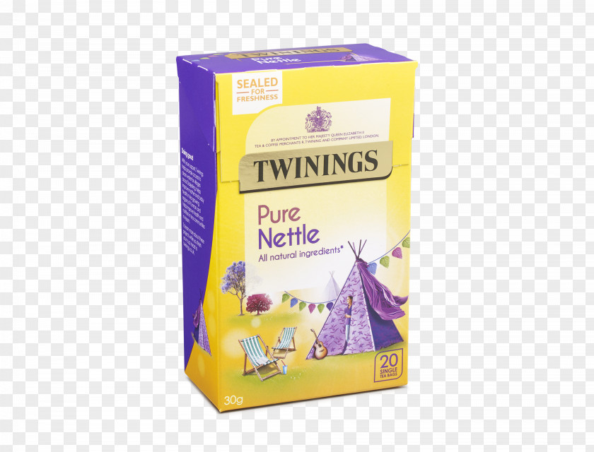 Tea Green Twinings Infusion Peppermint PNG