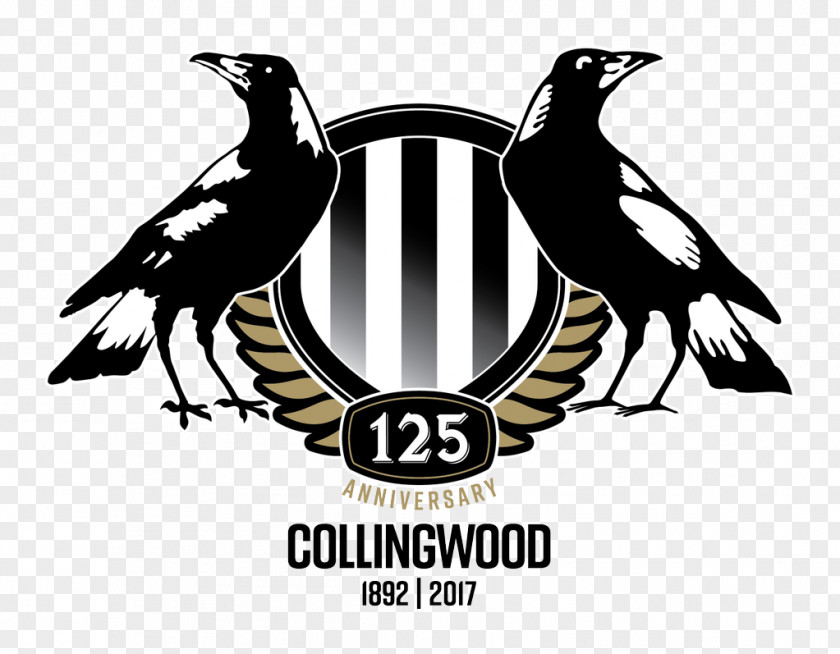 Afl 2018 Collingwood Football Club Season Westpac Centre 2017 AFL PNG
