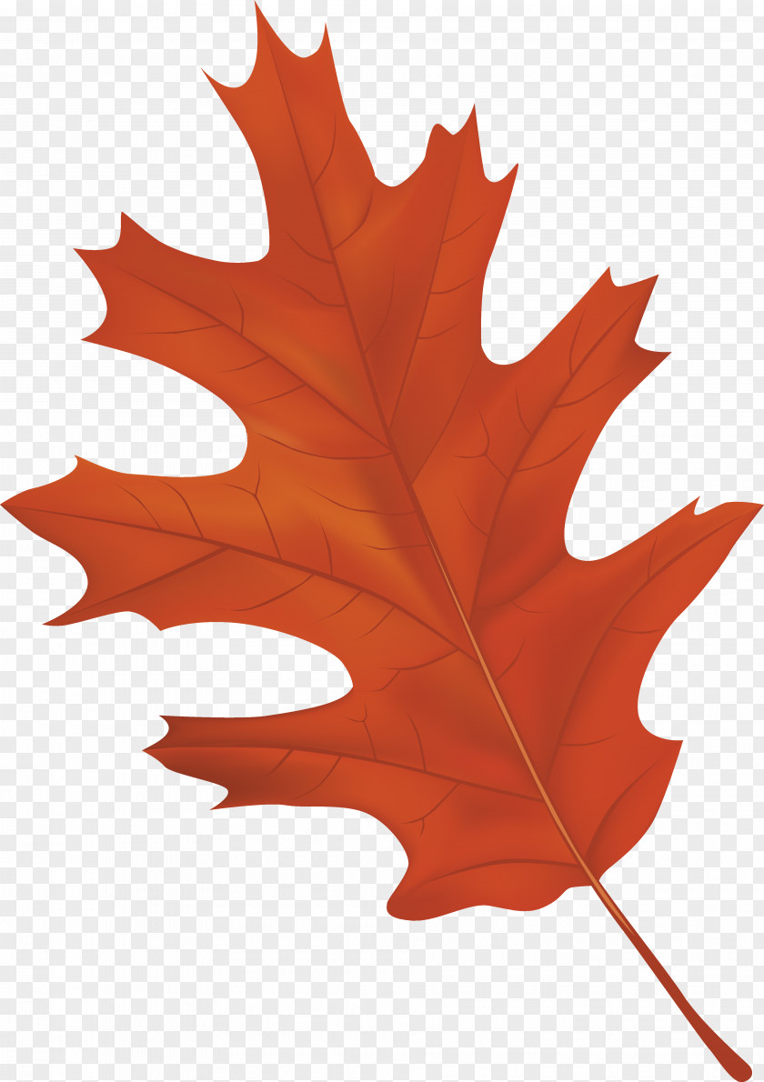 Brown Autumn Leaf Clipart Image Color Clip Art PNG