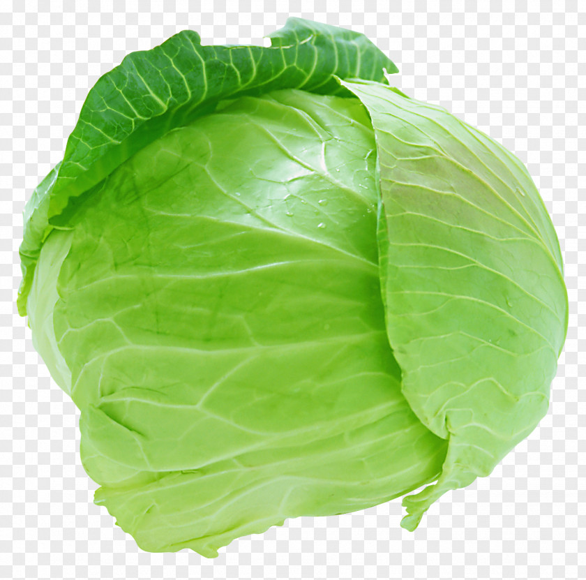 Cabbage Image Red Vegetable Cauliflower PNG