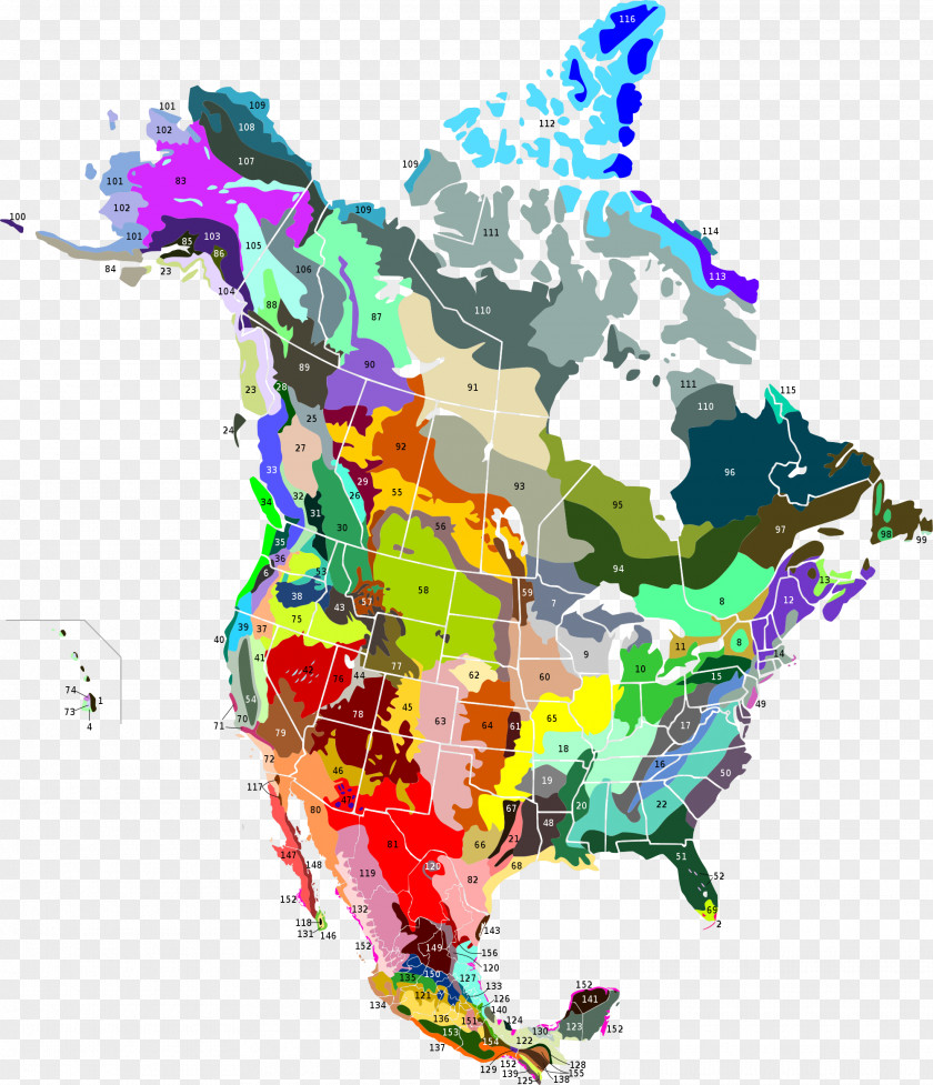 United States Canada Geology Continent Ecoregion PNG