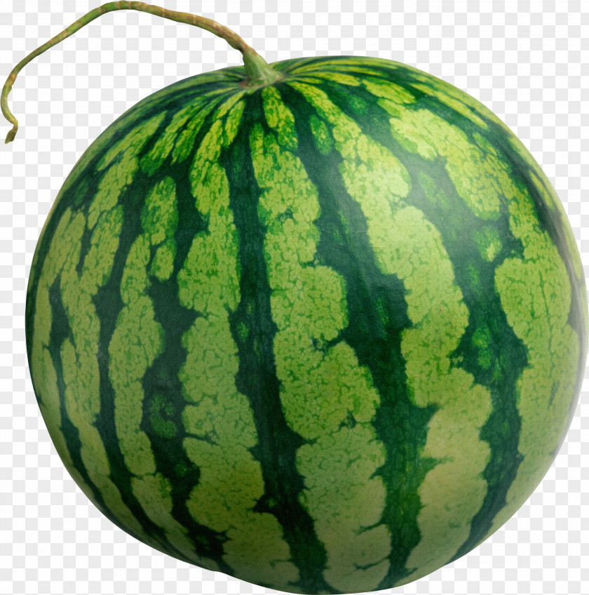 Watermelon Clip Art PNG