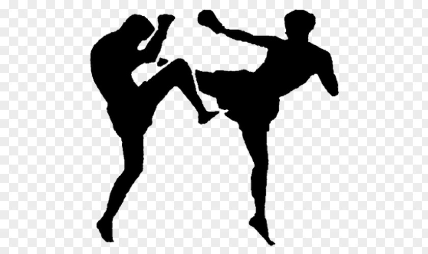 Boxing Kickboxing Muay Thai Mixed Martial Arts PNG