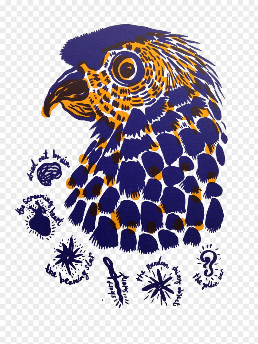 Creative Owls Head Owl Bird Creativity PNG