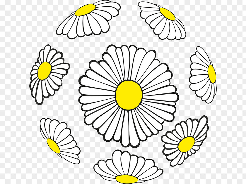 Flower Floral Design Common Daisy Sphere PNG