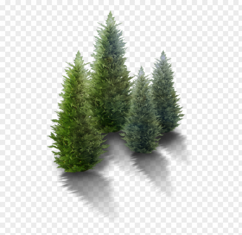Tree Clip Art Christmas Vector Graphics PNG