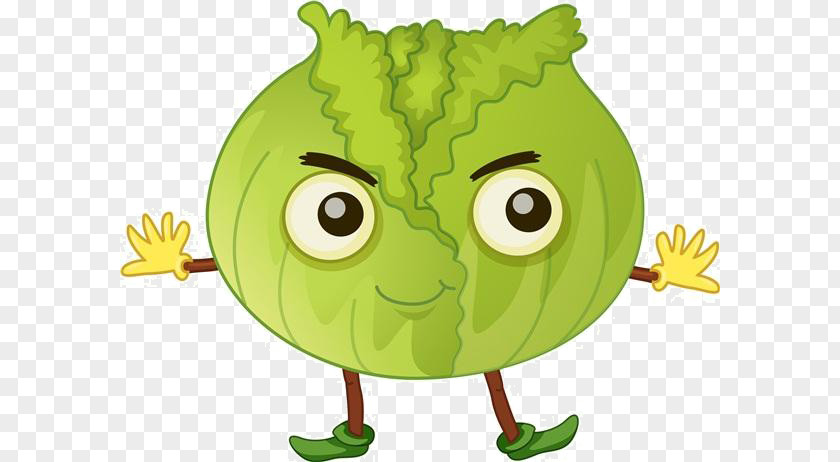 Cartoon Vegetable Material Cabbage Broccoli Royalty-free PNG