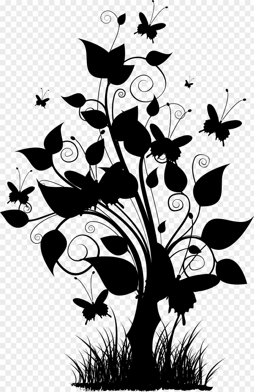 Image Floral Design Illustration Plants PNG