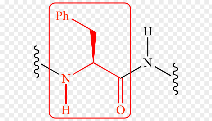 Organic Chemistry Serine Protease Chymotrypsin Peptide Bond PNG