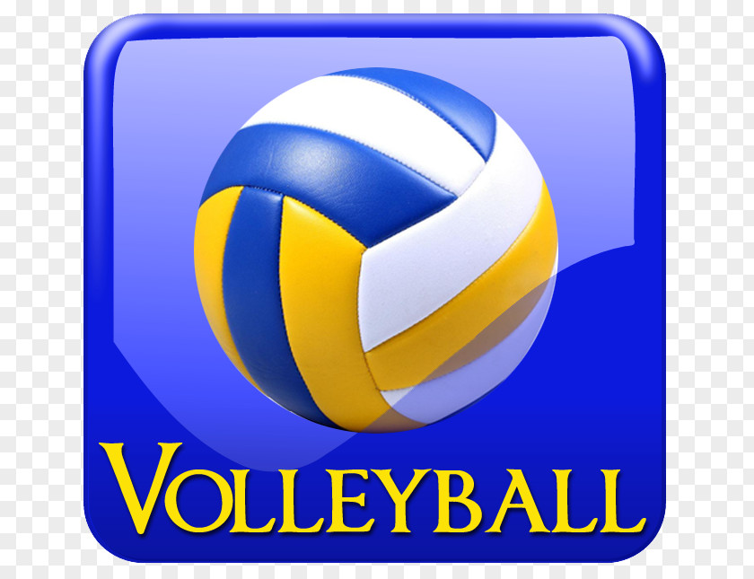 Volleyball Match Sport Volleyfest Head Basketball PNG
