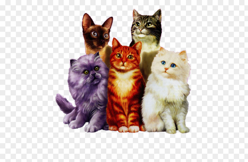 Cat World Day Kitten Animaatio PNG