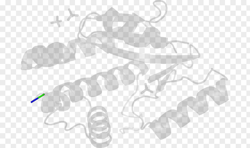 Design Line Clip Art PNG