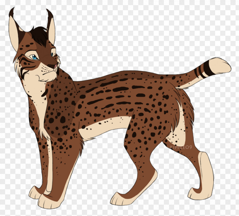 Eurasian Lynx Whiskers Cat Dog Terrestrial Animal Canidae PNG