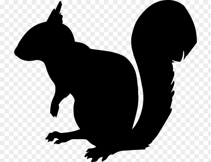 Ferret Grey Squirrel Cartoon PNG