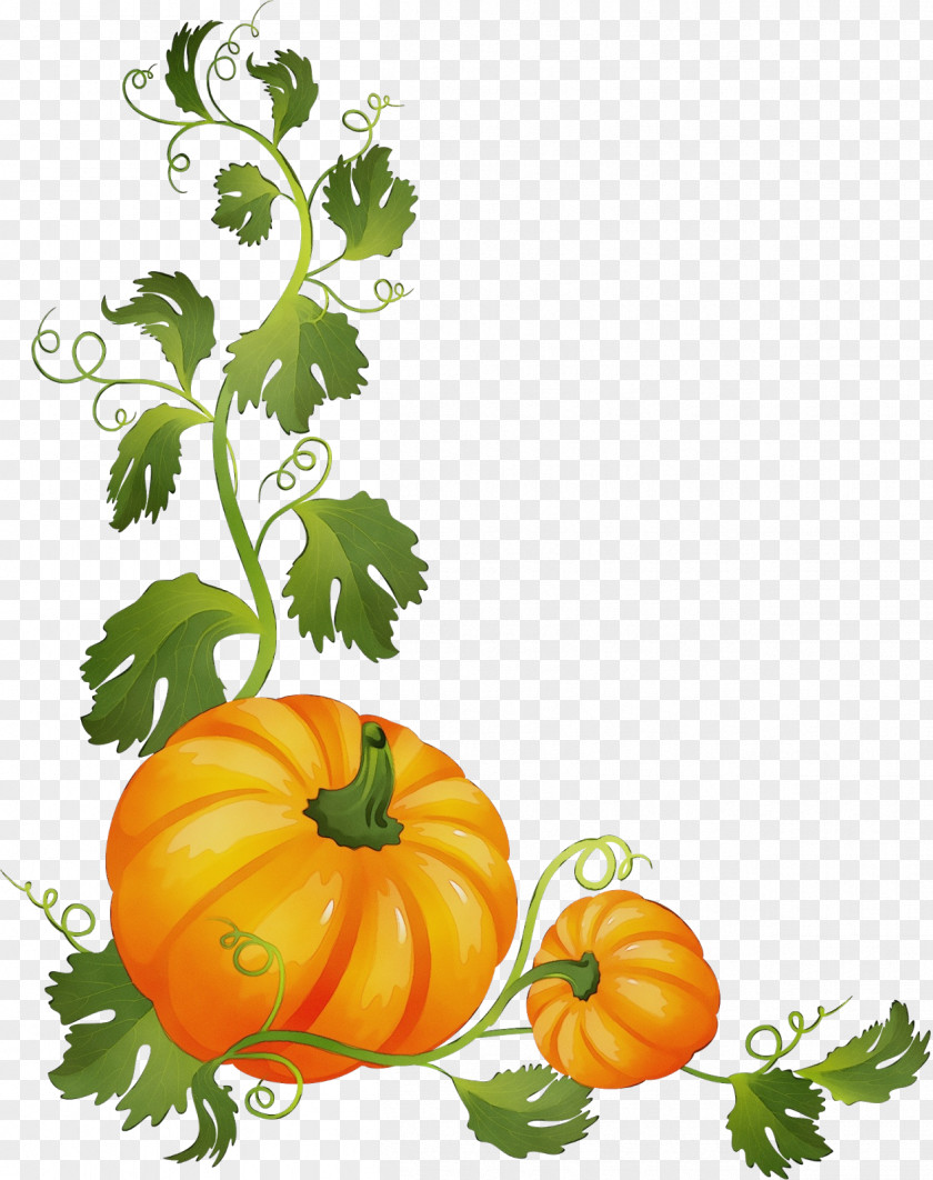 Herb Calabaza Halloween Pumpkin Cartoon PNG