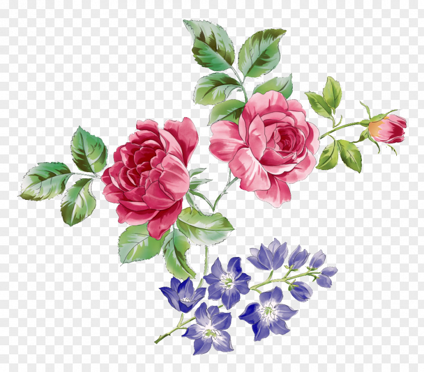 Mawar Canggih Garden Roses Clip Art Flower PNG