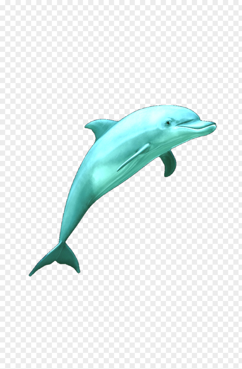Mixed Media ArtistDolphin Common Bottlenose Dolphin Short-beaked Painting PNG