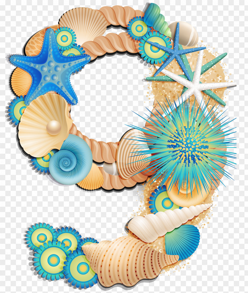 Seashells Number Clip Art PNG