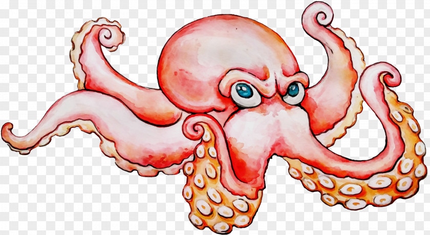 Hearing Jaw Octopus Cartoon PNG