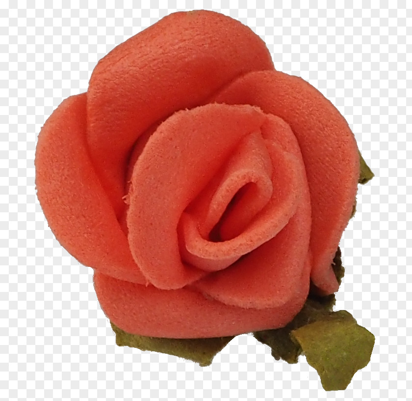 Rose Garden Roses Hair Tie Headband Hairpin PNG