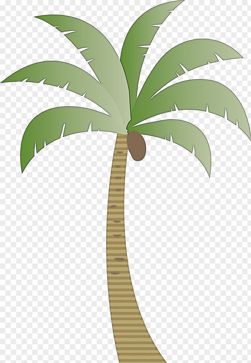 Palm Trees PNG