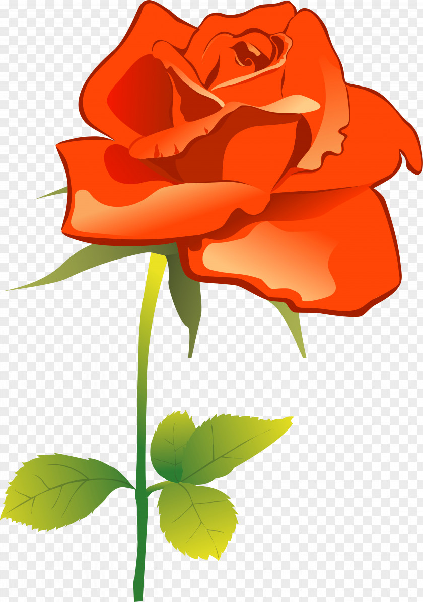 Red Rose Garden Roses Flower Clip Art PNG