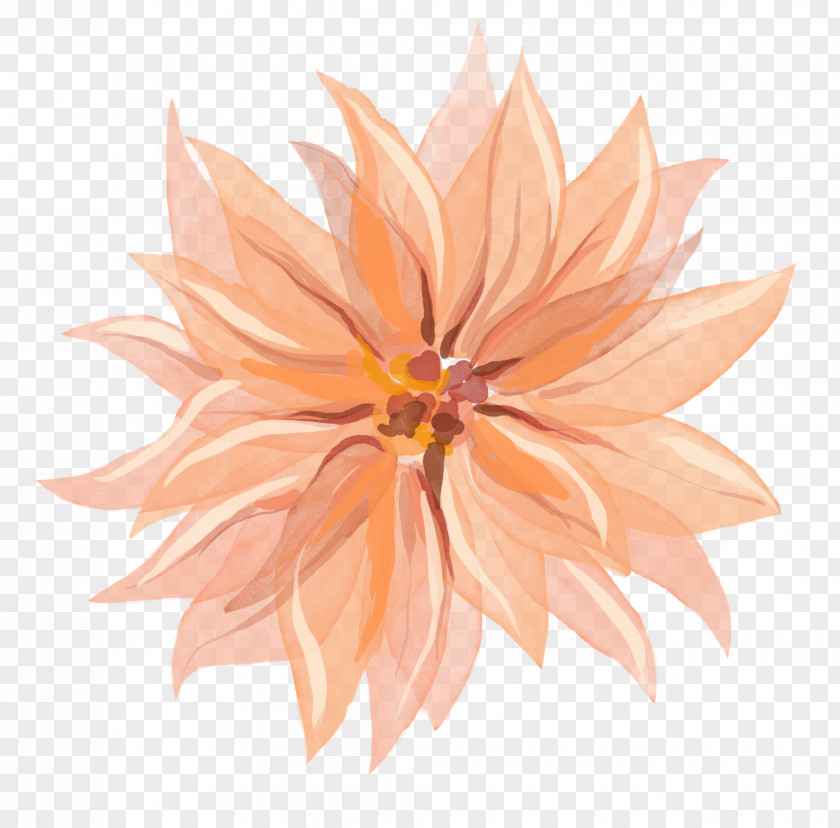 Spray Tan Dahlia PNG