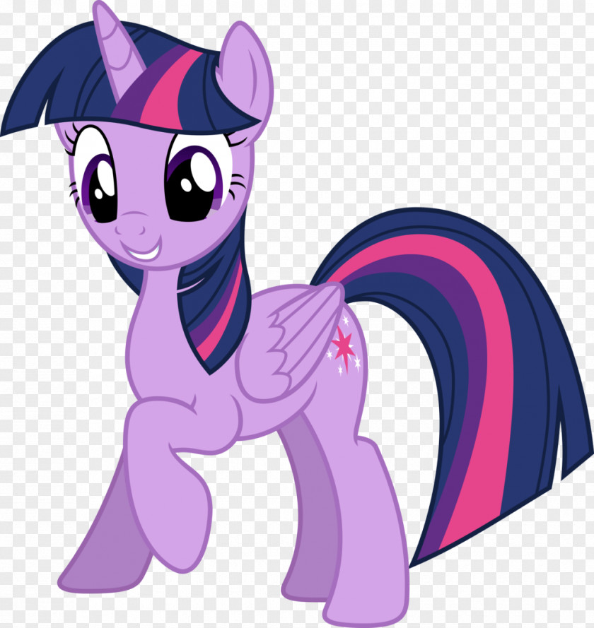 Twilight Sparkle Rarity Pinkie Pie Rainbow Dash Pony PNG