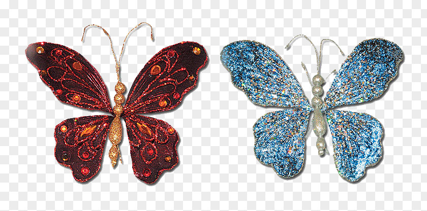 Jewellery Butterflies And Moths PNG