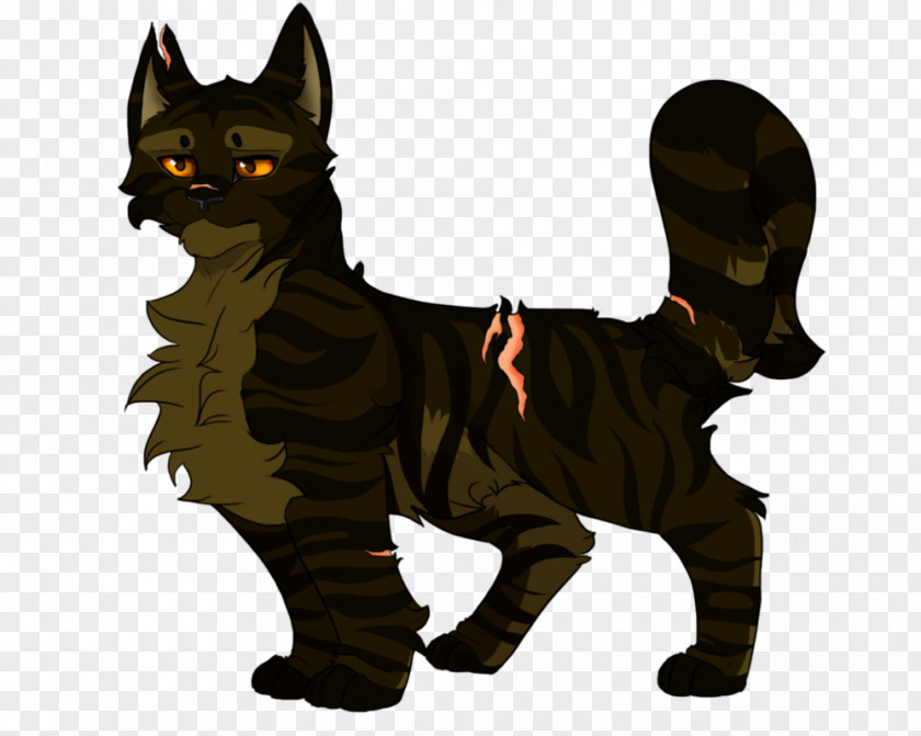 Kitten Whiskers Cat Cloudtail Dog PNG