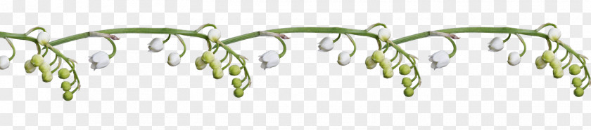 Lily Of The Valley .de Flower Blog Labour Day PNG