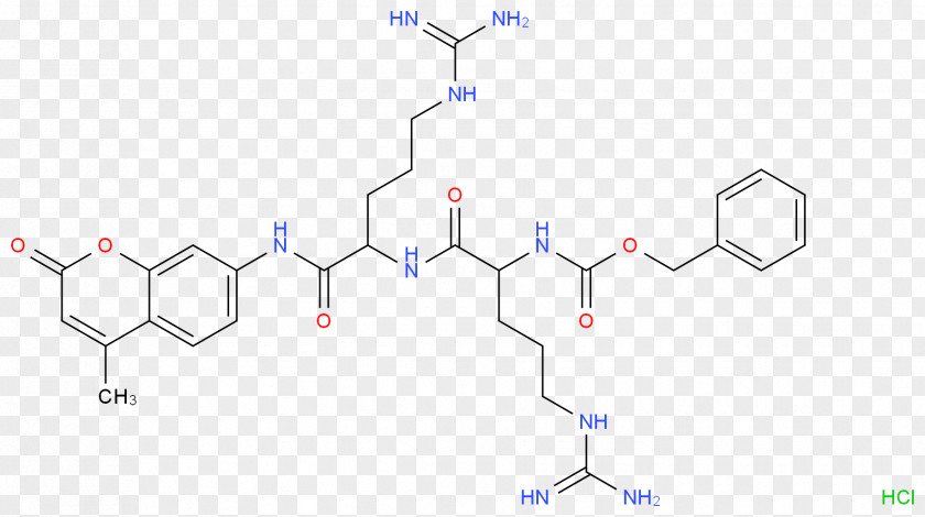 Vascular Endothelial Growth Factor VEGFR-2 VEGF Receptor Tyrosine Kinase Angiogenesis PNG