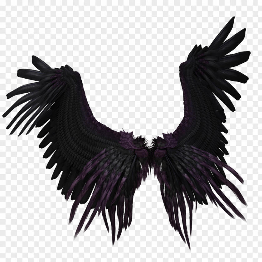 Wings Wing Purple Clip Art PNG