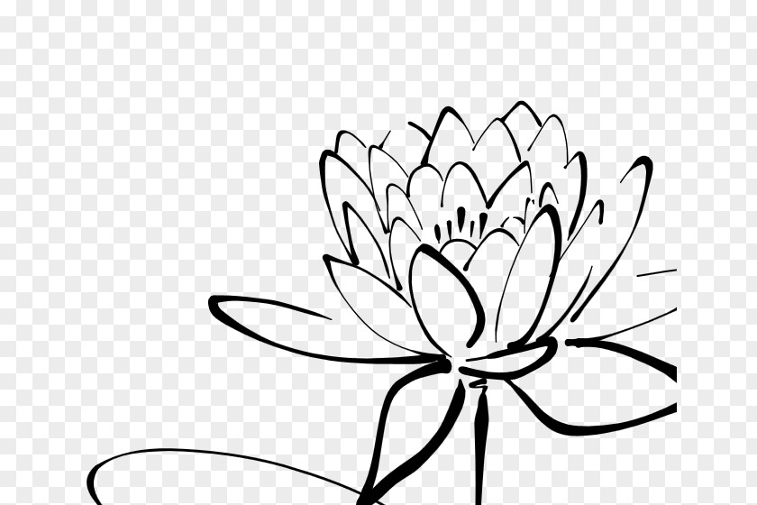 Flower Drawing Line Art Clip PNG