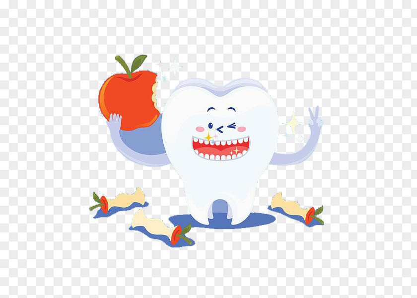 Healthy Teeth Tooth Clip Art PNG