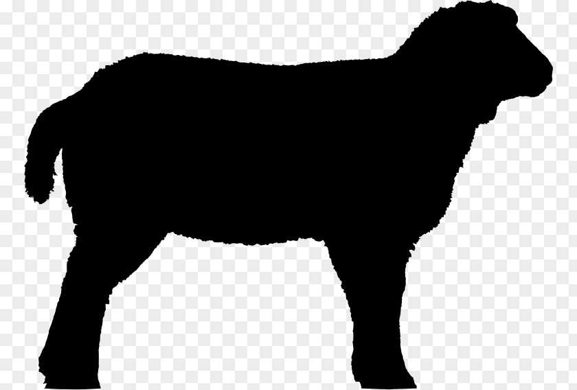 Sheep Bighorn Lamb And Mutton Clip Art PNG
