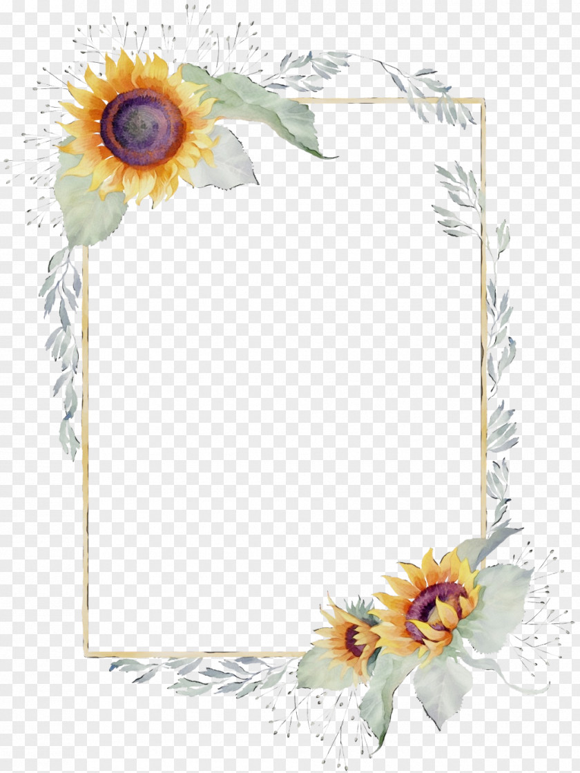 Wildflower Picture Frame Background Watercolor PNG