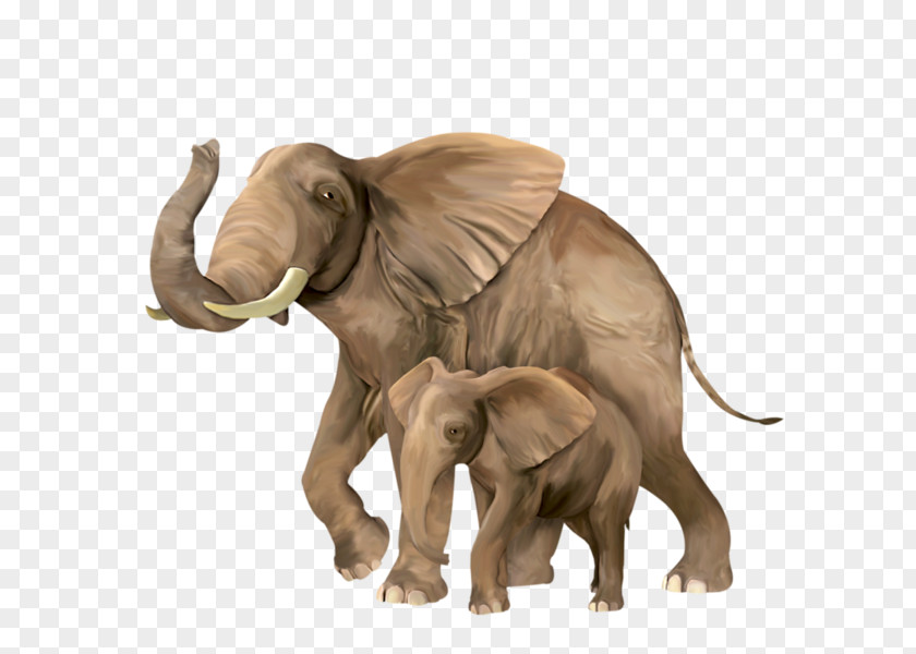 Elephant Indian Clip Art Vector Graphics PNG