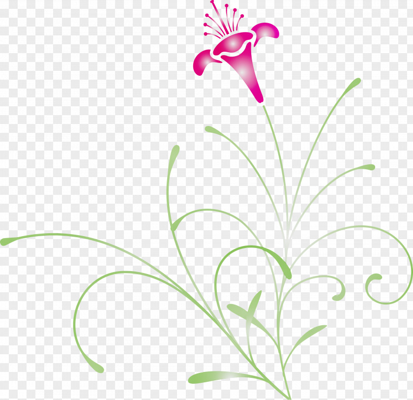 Flower Plant Pedicel Leaf Stem PNG