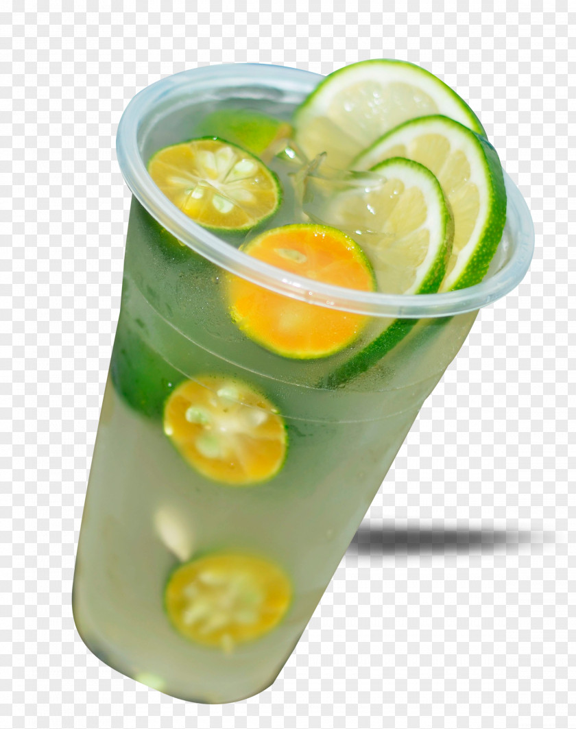 Green Lemon Kumquat Juice Limeade Limonana PNG