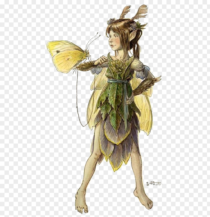 Tony Diterlizzi The Field Guide Spiderwick Chronicles: Lucinda's Secret Fairy Elf PNG