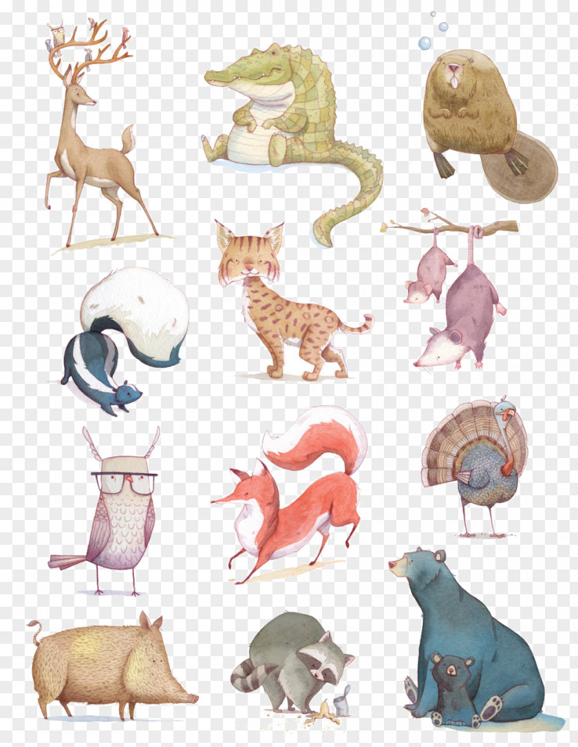 Total Animals Animal Model Sheet Illustration PNG
