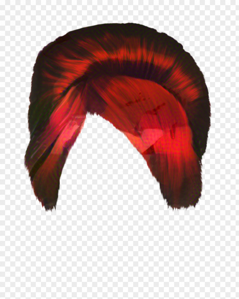 Wing Tail Woman Hair PNG