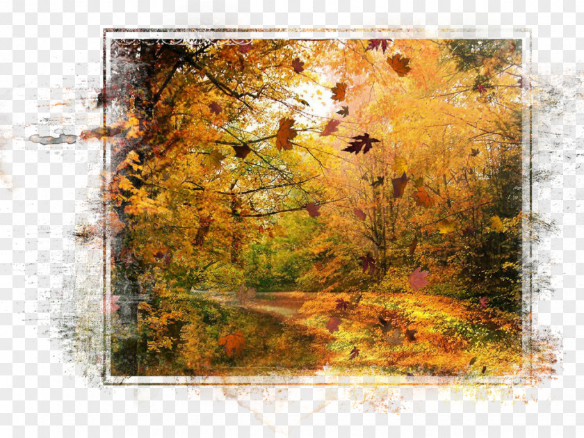 Autumn Desktop Wallpaper High-definition Television Display Resolution PNG