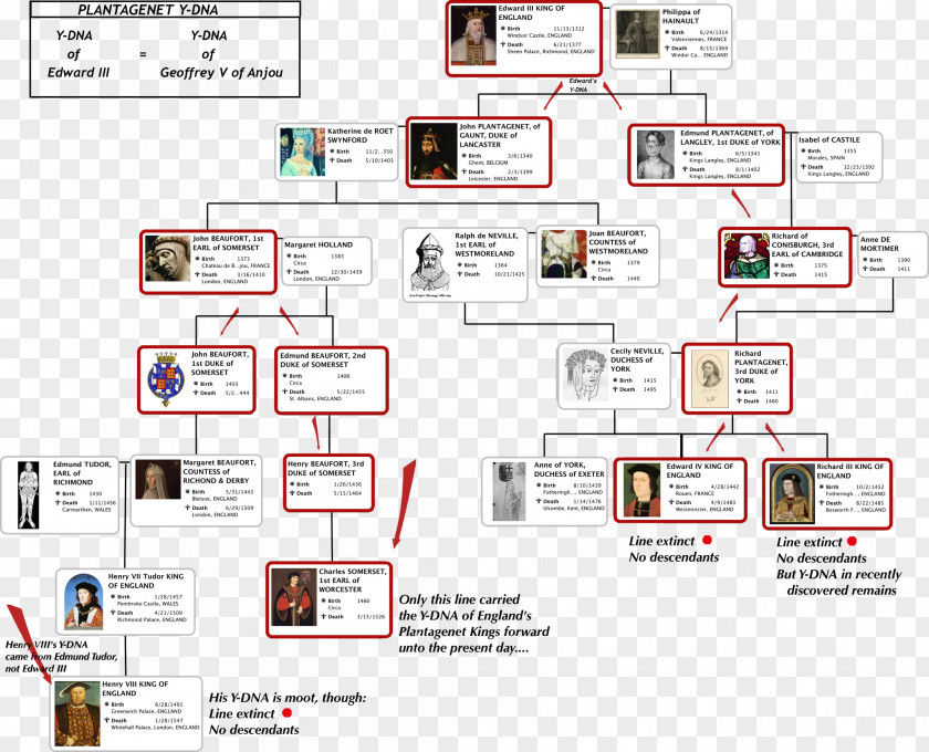 British Royal Family Tree Genealogy Ancestor Child PNG